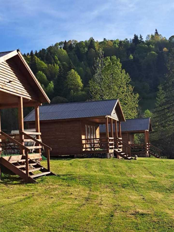 Cabane Areama Neagra Izvoru Muresului Exterior photo